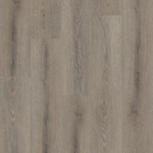 Shaw Paladin Plus Ashen Brown 0278V-05219