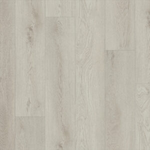 Shaw Paladin Plus Warm Grey 0278V-05220