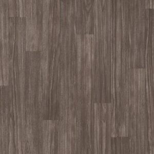 Shaw Great Basin II Thebes 0874V-00531