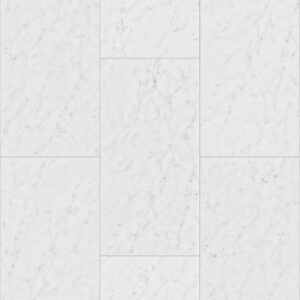 Shaw Paragon Tile Plus Bianco 1022V-01217