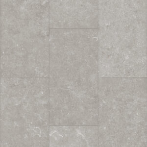 Shaw Paragon Tile Plus Pewter 1022V-05260