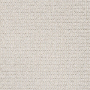 Dreamweaver Carpet Palma Magnificent Carpet 1135_2872