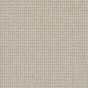 Dreamweaver Carpet Palma Capri Carpet 1135_4127