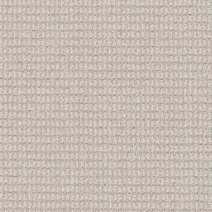 Dreamweaver Carpet Palma Bay Dream Carpet 1135_4539