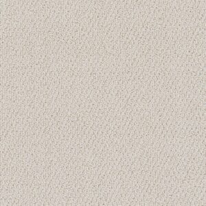 Dreamweaver Carpet Palazzo Magnificent Carpet 1232_2872
