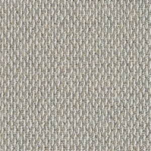 Dreamweaver Carpet Nimbus Cypress Carpet 1238_2371