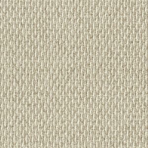 Dreamweaver Carpet Nimbus Accolade Carpet 1238_2398