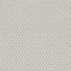 Dreamweaver Carpet Nimbus Oatmeal Carpet 1238_2552