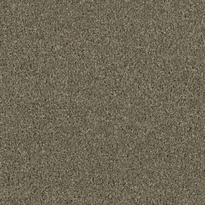 Dreamweaver Carpet Acclaim Cinnamon Tea Carpet 1324_528
