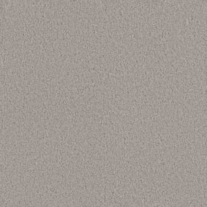 Dreamweaver Carpet Beach Club II Dreamer Carpet 1430_2065