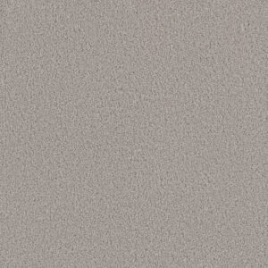 Dreamweaver Carpet Beach Club III Dreamer Carpet 1540_2065