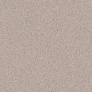 Dreamweaver Carpet Beach Club II Champagne Fizz Carpet 1430_6309