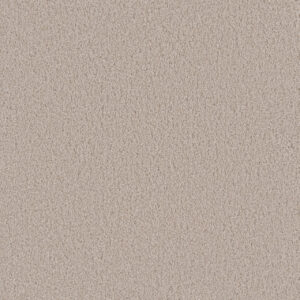 Dreamweaver Carpet Beach Club III Champagne Fizz Carpet 1540_6309
