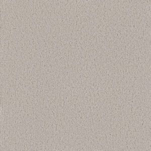 Dreamweaver Carpet Beach Club III Cloud Nine Carpet 1540_6809