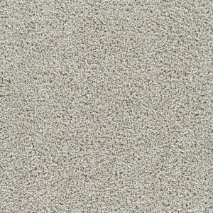 Dreamweaver Carpet Captivating II August Grove Carpet 1030_2871