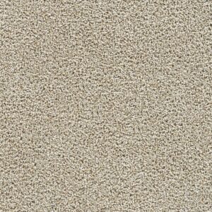 Dreamweaver Carpet Captivating III Peanut Brittle Carpet 1335_2880