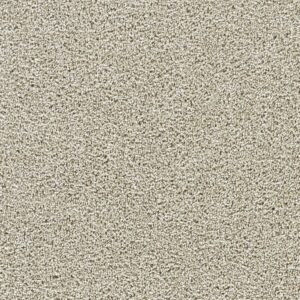 Dreamweaver Carpet Captivating III Wheat Grass Carpet 1335_4181