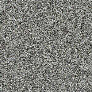 Dreamweaver Carpet Captivating II Beach Lava Carpet 1030_4272