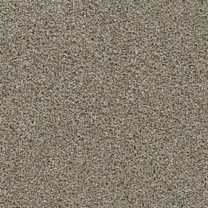 Dreamweaver Carpet Captivating II Rich Walnut Carpet 1030_4350
