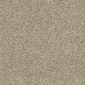 Dreamweaver Carpet Captivating III Fall Brook Carpet 1335_4446