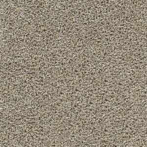 Dreamweaver Carpet Captivating II Pine Log Carpet 1030_4526