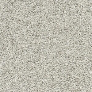 Dreamweaver Carpet Captivating II Anaheim Carpet 1030_4595
