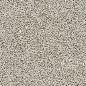 Dreamweaver Carpet Captivating III Iron Gate Carpet 1335_785