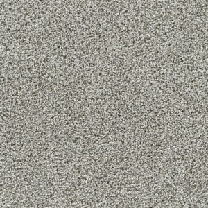 Dreamweaver Carpet Captivating II Gravel Stone Carpet 1030_790
