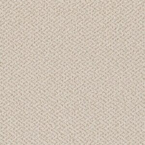 Dreamweaver Carpet Crete Magnificent Carpet 1342_2872