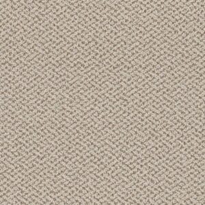 Dreamweaver Carpet Crete Capri Carpet 1342_4127