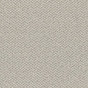 Dreamweaver Carpet Crete Nautilus Carpet 1342_4328