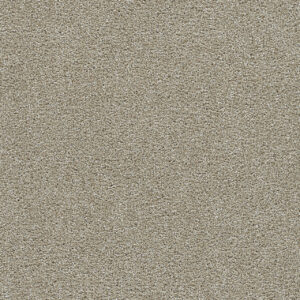 Dreamweaver Carpet Clearwater II Wonder Carpet 1360_2524