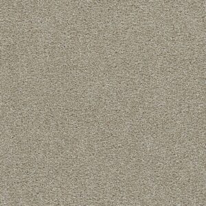 Dreamweaver Carpet Clearwater III Wonder Carpet 1370_2524