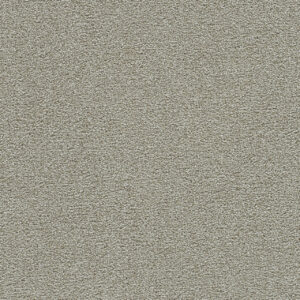 Dreamweaver Carpet Clearwater II August Grove Carpet 1360_2871