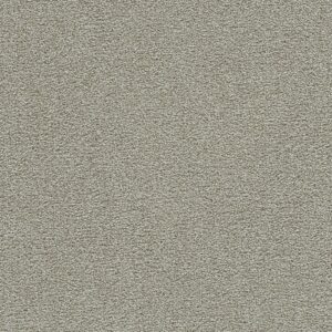 Dreamweaver Carpet Clearwater III August Grove Carpet 1370_2871