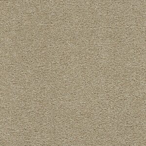 Dreamweaver Carpet Clearwater III Sunflower Carpet 1370_2947