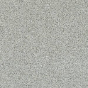 Dreamweaver Carpet Clearwater III Milestone Carpet 1370_4048