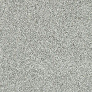Dreamweaver Carpet Clearwater I Milestone Carpet 1345_4048