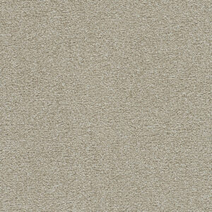 Dreamweaver Carpet Clearwater II Wheat Grass Carpet 1360_4181