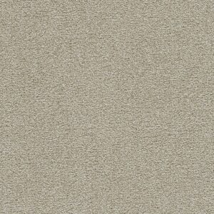 Dreamweaver Carpet Clearwater III Wheat Grass Carpet 1370_4181