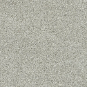 Dreamweaver Carpet Clearwater II Brightwater Carpet 1360_4261