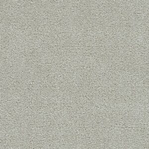 Dreamweaver Carpet Clearwater III Brightwater Carpet 1370_4261