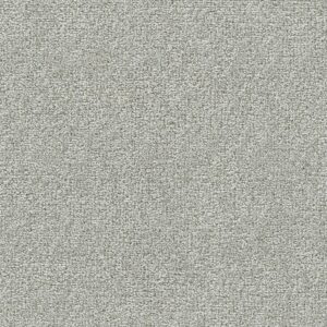 Dreamweaver Carpet Clearwater III Aston Carpet 1370_4275