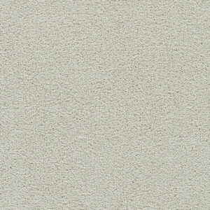 Dreamweaver Carpet Clearwater I Snowball Carpet 1345_4341
