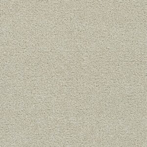 Dreamweaver Carpet Clearwater III Solar Flair Carpet 1370_4501