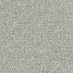 Dreamweaver Carpet Clearwater III Star Light Carpet 1370_5190