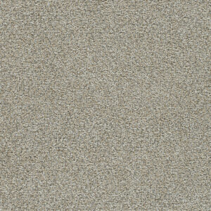 Dreamweaver Carpet Clearwater II Kindling Carpet 1360_743