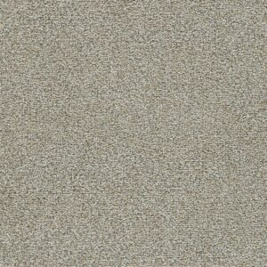 Dreamweaver Carpet Clearwater III Kindling Carpet 1370_743