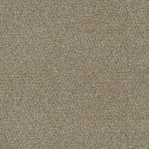 Dreamweaver Carpet Clearwater III Toasted Oat Carpet 1370_774
