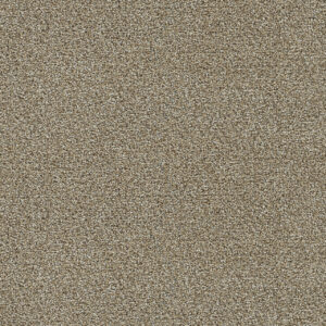 Dreamweaver Carpet Clearwater I Toasted Oat Carpet 1345_774